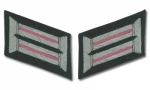 Army Officer Collar Tabs - Panzer (Pink)