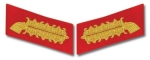 Bullion Collar Tabs - Army Field Marshal